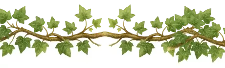 Bejuco decorativo